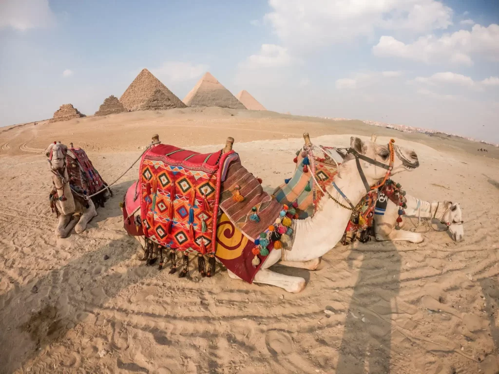 8 Days Egypt Vacation Packages